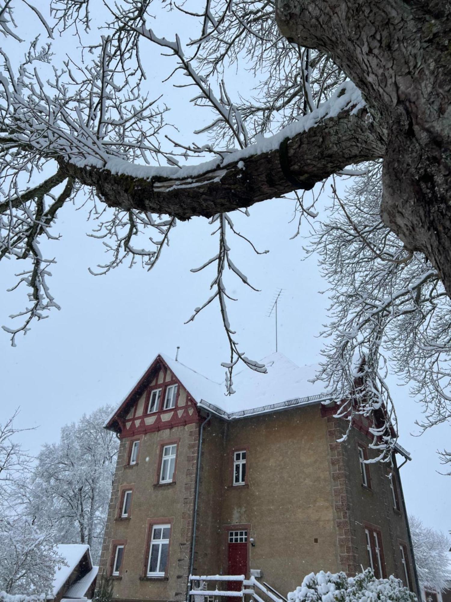 L' Extravagante Im Garten Von Schloss Schmidtheim Екстер'єр фото