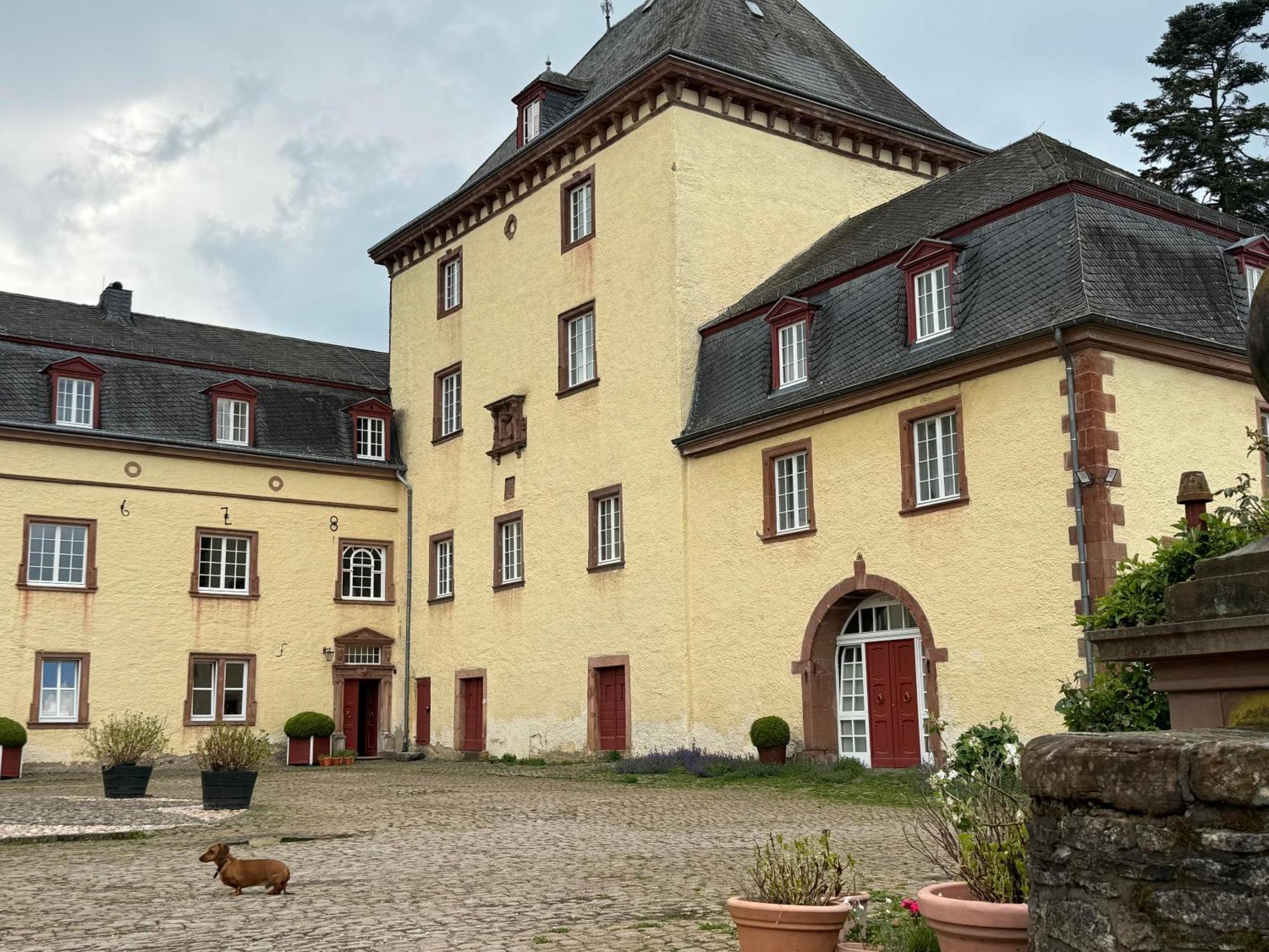 L' Extravagante Im Garten Von Schloss Schmidtheim Екстер'єр фото